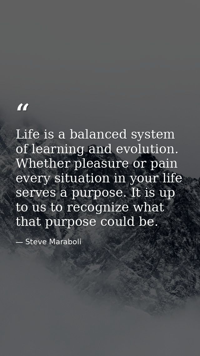 Life is a balanced system of learning and evolution. Whether pleasure or pain every situation in your life serves a purp — Steve Maraboli