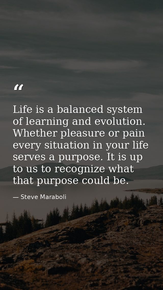 Life is a balanced system of learning and evolution. Whether pleasure or pain every situation in your life serves a purp — Steve Maraboli