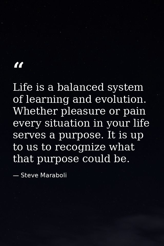 Life is a balanced system of learning and evolution. Whether pleasure or pain every situation in your life serves a purp — Steve Maraboli