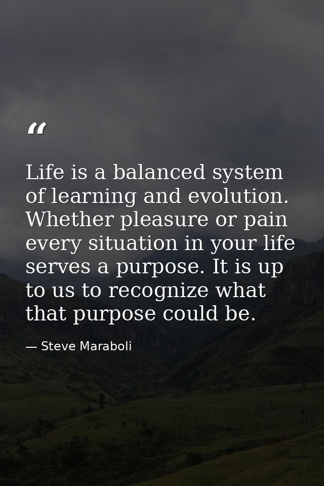 Life is a balanced system of learning and evolution. Whether pleasure or pain every situation in your life serves a purp — Steve Maraboli