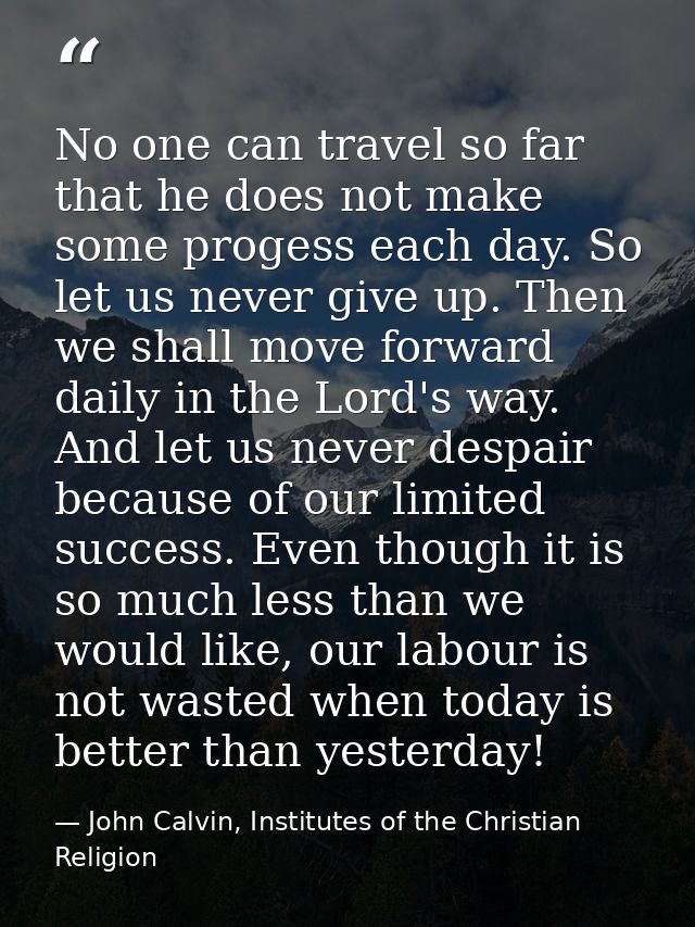 No one can travel so far that he does not make some progess each day. So let us never give up. Then we shall move forwar — John Calvin, Institutes of the Christian Religion