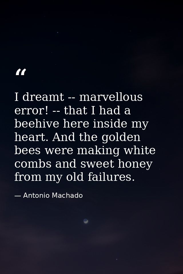 I dreamt -- marvellous error! -- that I had a beehive here inside my heart. And the golden bees were making white combs  — Antonio Machado