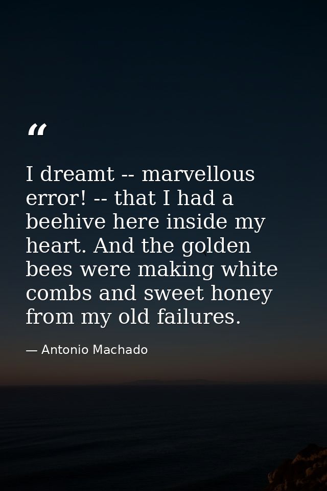 I dreamt -- marvellous error! -- that I had a beehive here inside my heart. And the golden bees were making white combs  — Antonio Machado