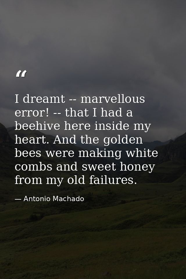 I dreamt -- marvellous error! -- that I had a beehive here inside my heart. And the golden bees were making white combs  — Antonio Machado