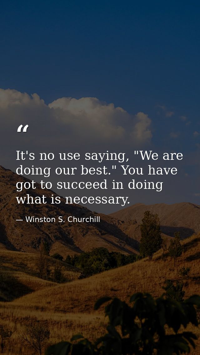 It's no use saying, "We are doing our best." You have got to succeed in doing what is necessary. — Winston S. Churchill