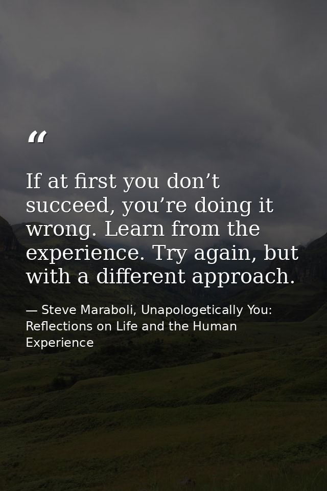 If at first you don’t succeed, you’re doing it wrong. Learn from the experience. Try again, but with a different approac — Steve Maraboli, Unapologetically You: Reflections on Life and the Human Experience