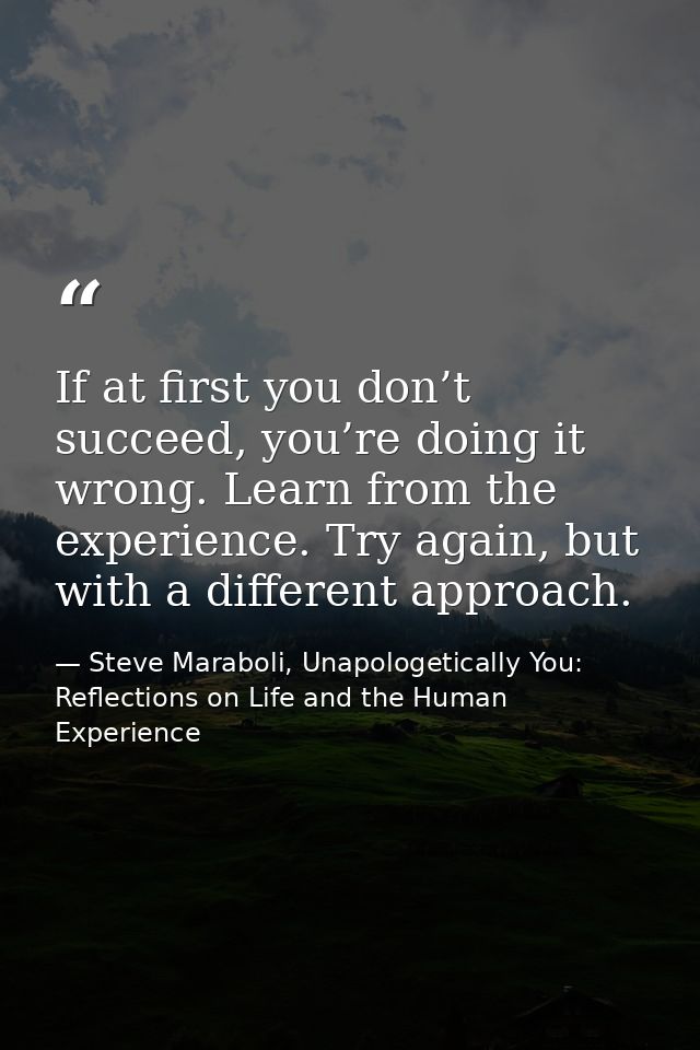 If at first you don’t succeed, you’re doing it wrong. Learn from the experience. Try again, but with a different approac — Steve Maraboli, Unapologetically You: Reflections on Life and the Human Experience