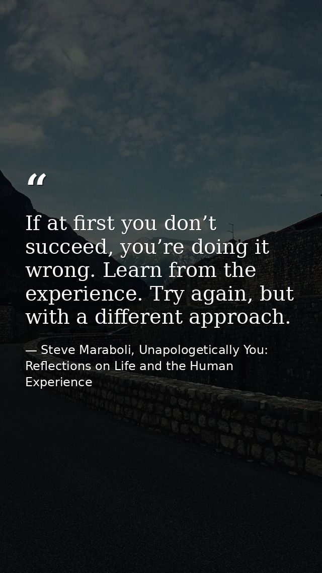 If at first you don’t succeed, you’re doing it wrong. Learn from the experience. Try again, but with a different approac — Steve Maraboli, Unapologetically You: Reflections on Life and the Human Experience