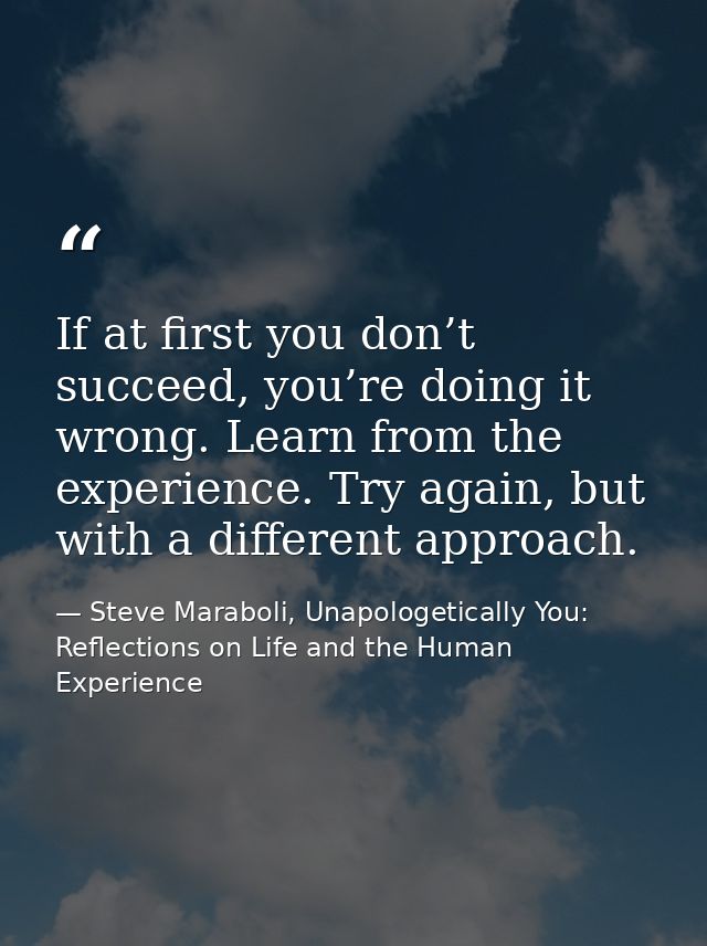 If at first you don’t succeed, you’re doing it wrong. Learn from the experience. Try again, but with a different approac — Steve Maraboli, Unapologetically You: Reflections on Life and the Human Experience
