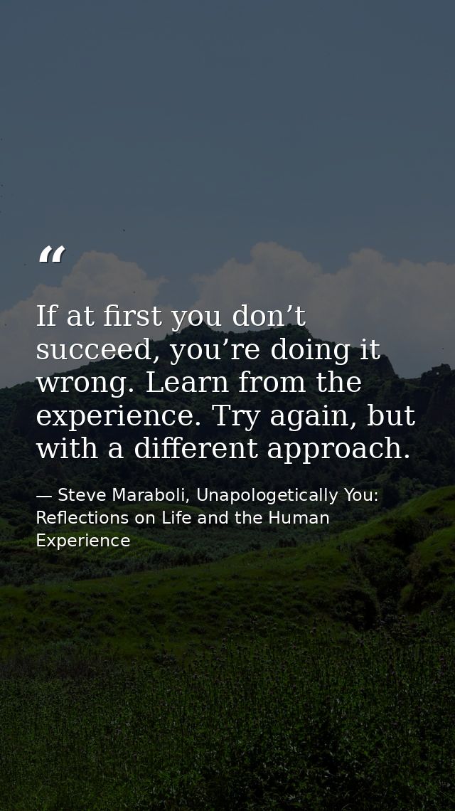 If at first you don’t succeed, you’re doing it wrong. Learn from the experience. Try again, but with a different approac — Steve Maraboli, Unapologetically You: Reflections on Life and the Human Experience