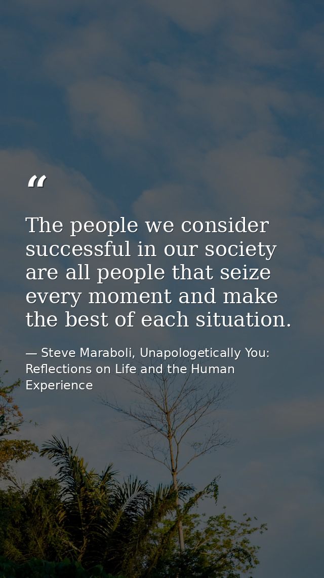 The people we consider successful in our society are all people that seize every moment and make the best of each situat — Steve Maraboli, Unapologetically You: Reflections on Life and the Human Experience