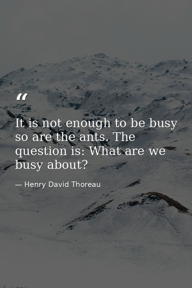 It is not enough to be busy so are the ants. The question is: What are we busy about? — Henry David Thoreau