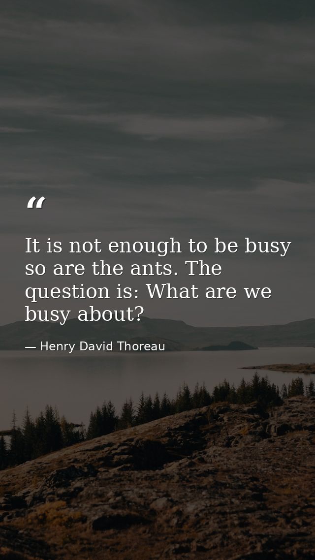 It is not enough to be busy so are the ants. The question is: What are we busy about? — Henry David Thoreau