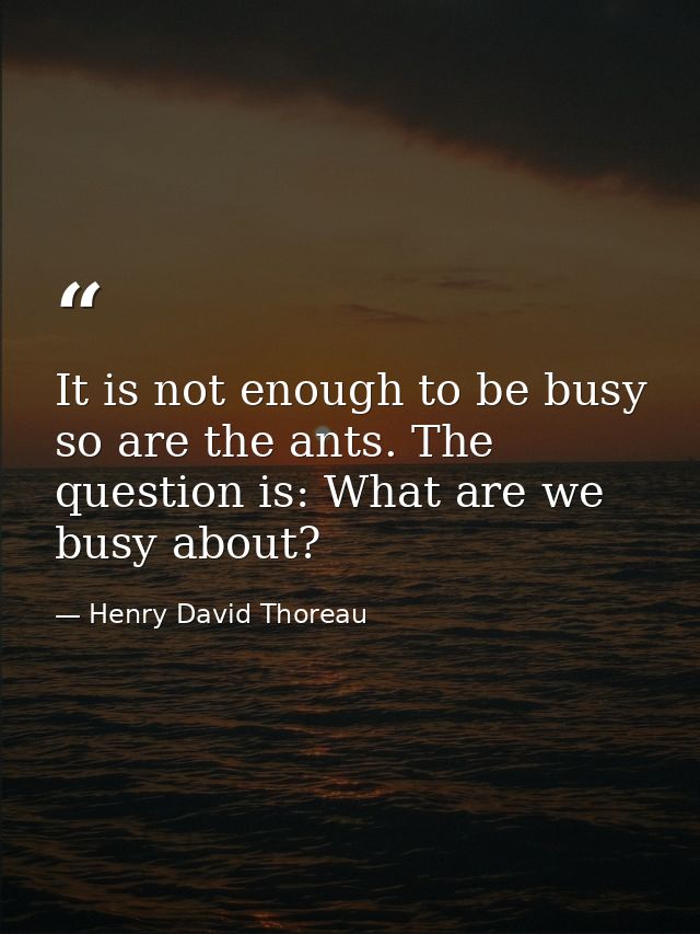 It is not enough to be busy so are the ants. The question is: What are we busy about? — Henry David Thoreau