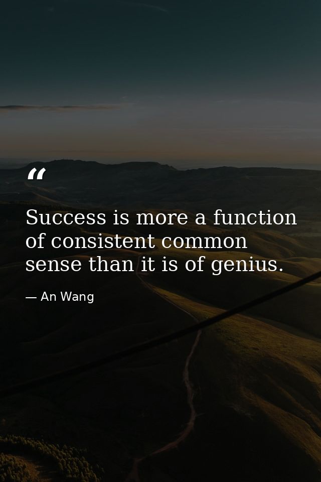 Success is more a function of consistent common sense than it is of genius. — An Wang