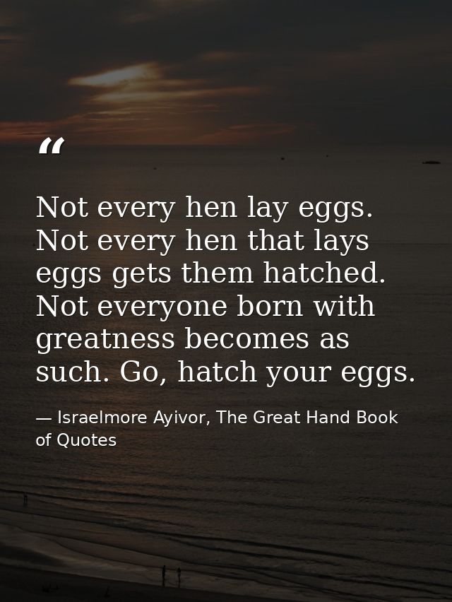 Not every hen lay eggs. Not every hen that lays eggs gets them hatched. Not everyone born with greatness becomes as such — Israelmore Ayivor, The Great Hand Book of Quotes