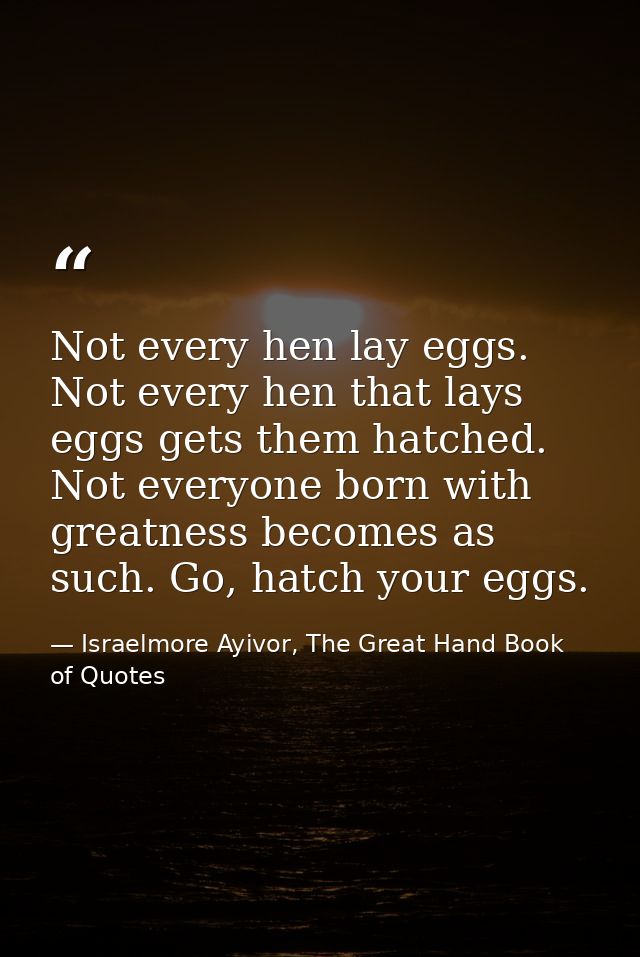 Not every hen lay eggs. Not every hen that lays eggs gets them hatched. Not everyone born with greatness becomes as such — Israelmore Ayivor, The Great Hand Book of Quotes