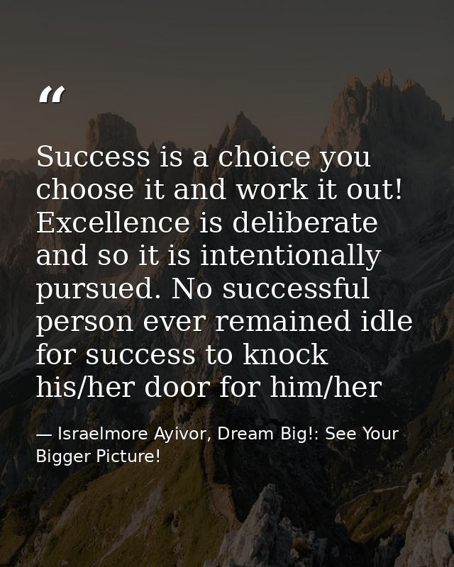 Success is a choice you choose it and work it out! Excellence is deliberate and so it is intentionally pursued. No succe — Israelmore Ayivor, Dream Big!: See Your Bigger Picture!