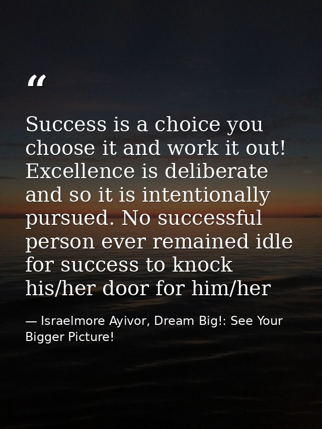 Success is a choice you choose it and work it out! Excellence is deliberate and so it is intentionally pursued. No succe — Israelmore Ayivor, Dream Big!: See Your Bigger Picture!