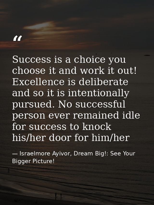Success is a choice you choose it and work it out! Excellence is deliberate and so it is intentionally pursued. No succe — Israelmore Ayivor, Dream Big!: See Your Bigger Picture!