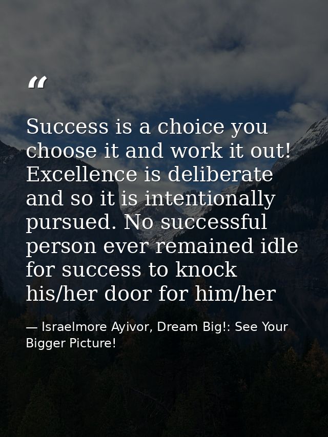 Success is a choice you choose it and work it out! Excellence is deliberate and so it is intentionally pursued. No succe — Israelmore Ayivor, Dream Big!: See Your Bigger Picture!
