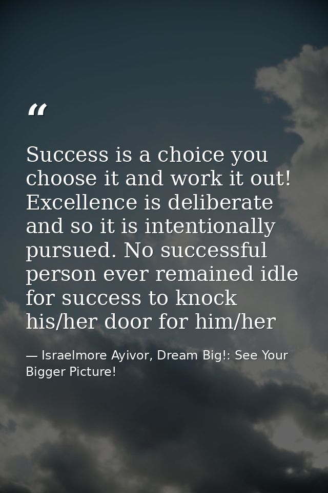 Success is a choice you choose it and work it out! Excellence is deliberate and so it is intentionally pursued. No succe — Israelmore Ayivor, Dream Big!: See Your Bigger Picture!