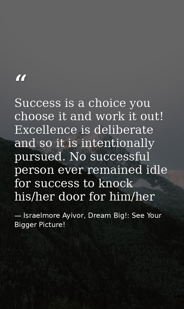 Success is a choice you choose it and work it out! Excellence is deliberate and so it is intentionally pursued. No succe — Israelmore Ayivor, Dream Big!: See Your Bigger Picture!