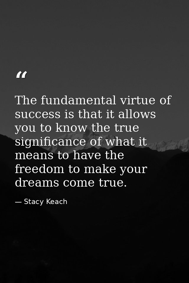 The fundamental virtue of success is that it allows you to know the true significance of what it means to have the freed — Stacy Keach