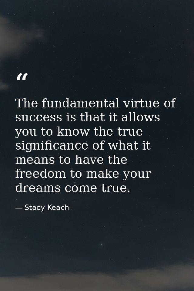 The fundamental virtue of success is that it allows you to know the true significance of what it means to have the freed — Stacy Keach