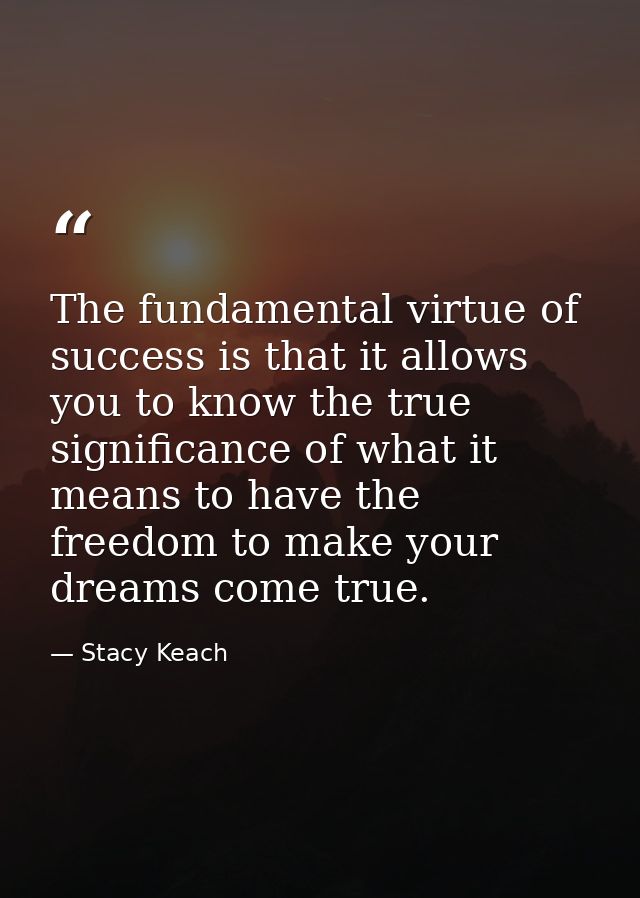 The fundamental virtue of success is that it allows you to know the true significance of what it means to have the freed — Stacy Keach