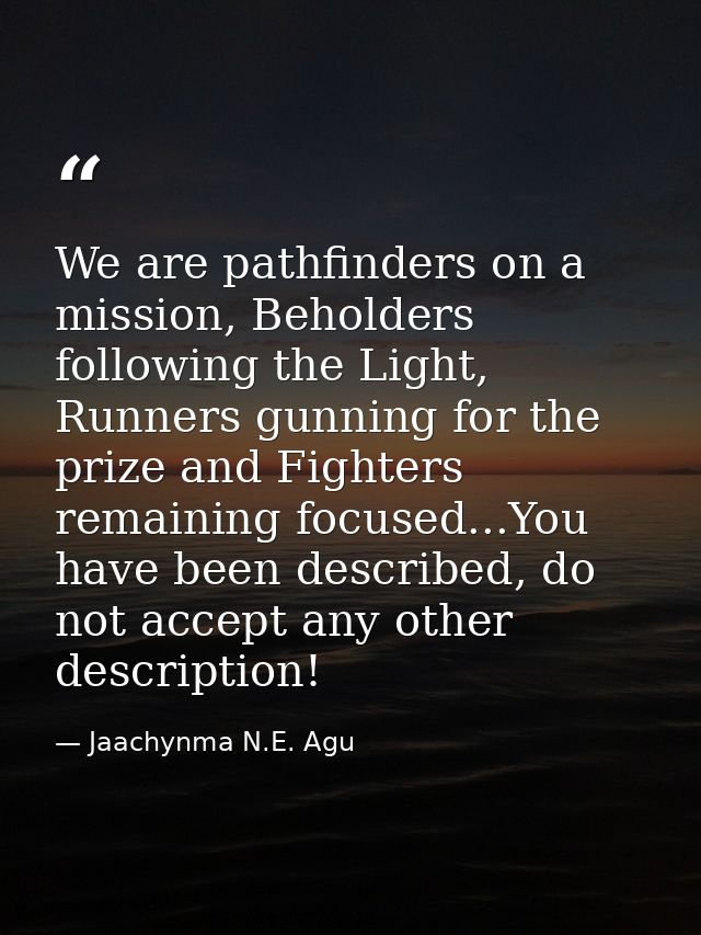 We are pathfinders on a mission, Beholders following the Light, Runners gunning for the prize and Fighters remaining foc — Jaachynma N.E. Agu