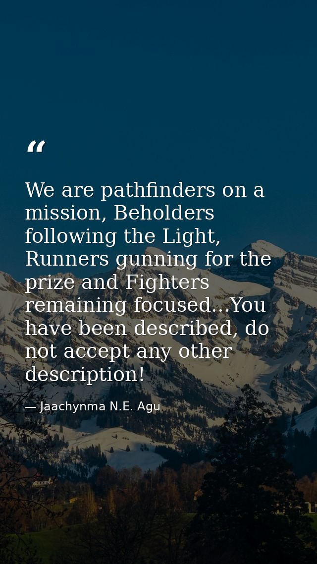 We are pathfinders on a mission, Beholders following the Light, Runners gunning for the prize and Fighters remaining foc — Jaachynma N.E. Agu