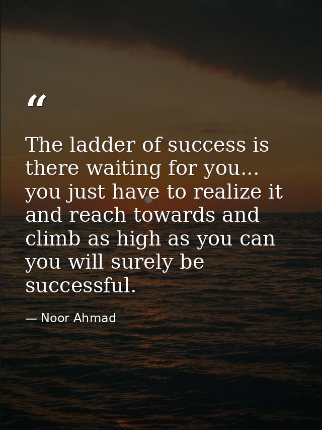 The ladder of success is there waiting for you... you just have to realize it and reach towards and climb as high as you — Noor Ahmad