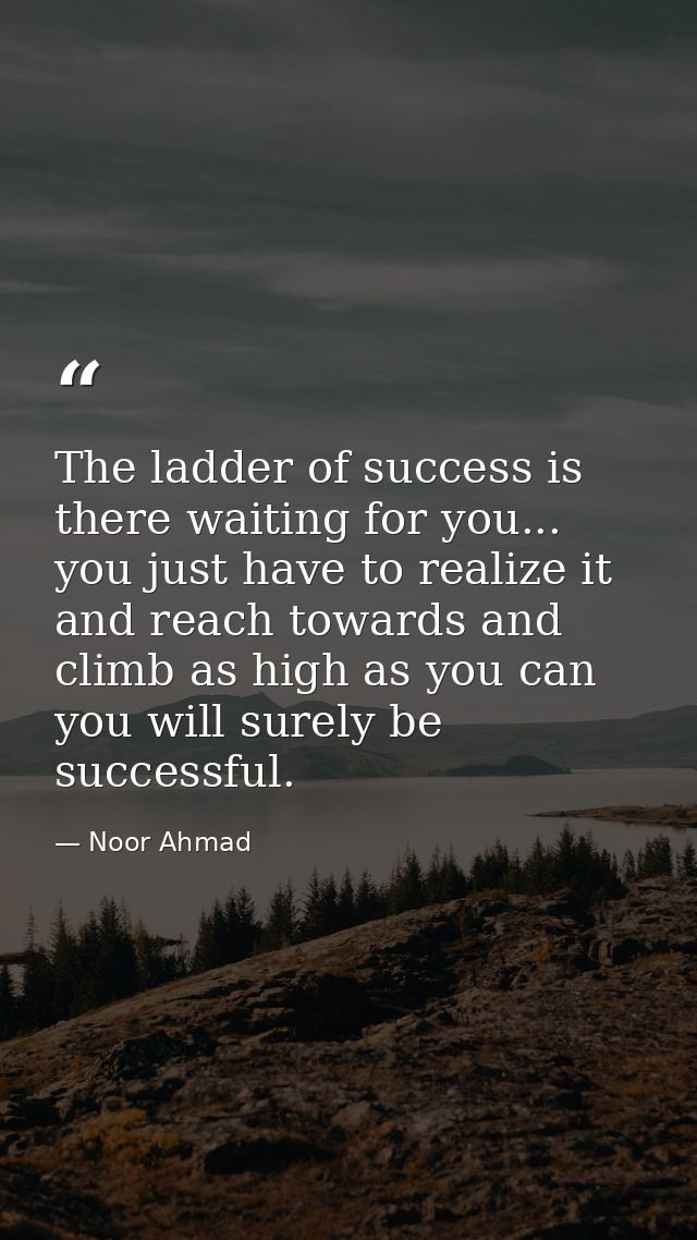 The ladder of success is there waiting for you... you just have to realize it and reach towards and climb as high as you — Noor Ahmad