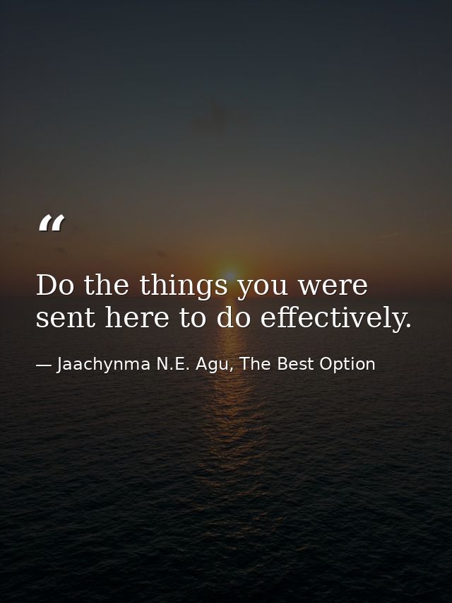 Do the things you were sent here to do effectively. — Jaachynma N.E. Agu, The Best Option