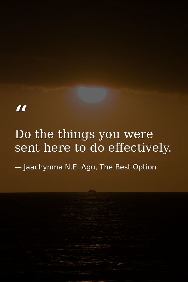 Do the things you were sent here to do effectively. — Jaachynma N.E. Agu, The Best Option