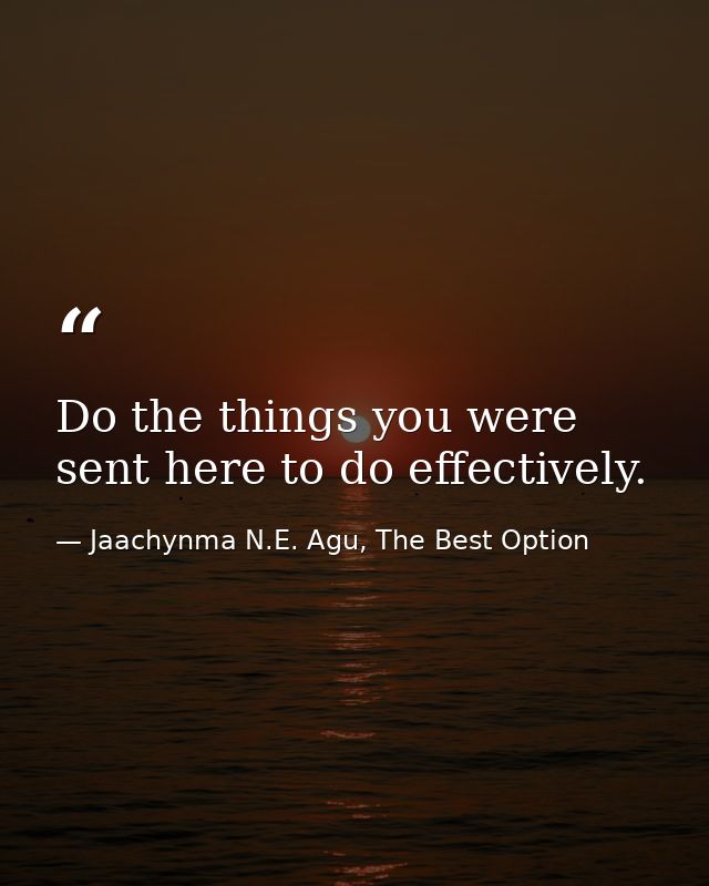 Do the things you were sent here to do effectively. — Jaachynma N.E. Agu, The Best Option