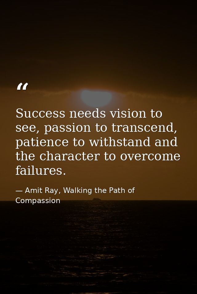 Success needs vision to see, passion to transcend, patience to withstand and the character to overcome failures. — Amit Ray, Walking the Path of Compassion
