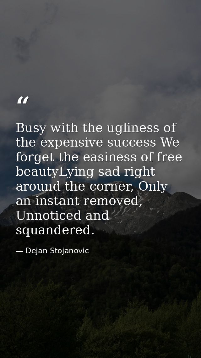 Busy with the ugliness of the expensive success We forget the easiness of free beautyLying sad right around the corner,  — Dejan Stojanovic