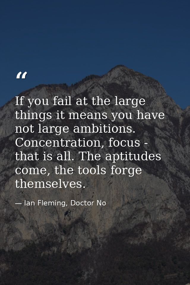 If you fail at the large things it means you have not large ambitions. Concentration, focus - that is all. The aptitudes — Ian Fleming, Doctor No