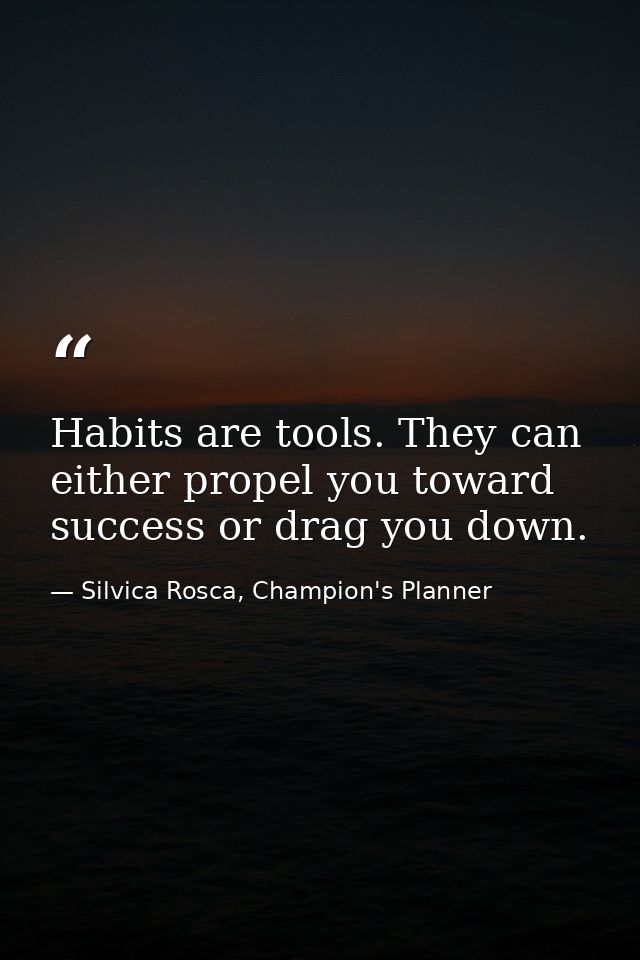 Habits are tools. They can either propel you toward success or drag you down. — Silvica Rosca, Champion's Planner