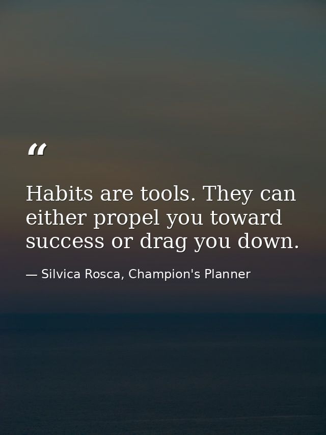 Habits are tools. They can either propel you toward success or drag you down. — Silvica Rosca, Champion's Planner