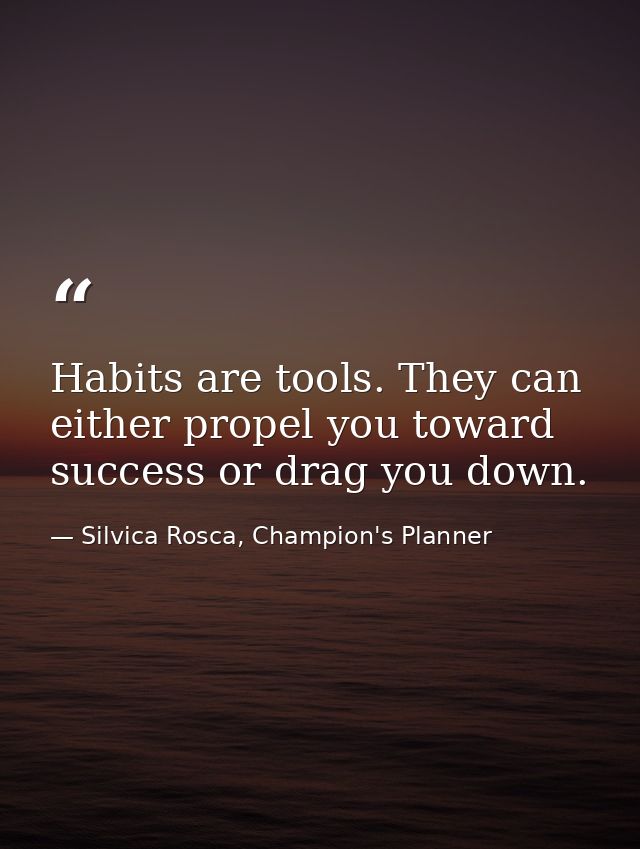 Habits are tools. They can either propel you toward success or drag you down. — Silvica Rosca, Champion's Planner