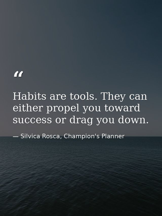 Habits are tools. They can either propel you toward success or drag you down. — Silvica Rosca, Champion's Planner