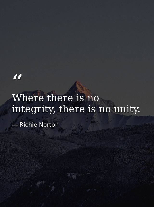 Where there is no integrity, there is no unity. — Richie Norton