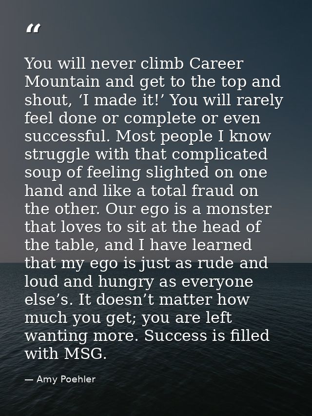 You will never climb Career Mountain and get to the top and shout, ‘I made it!’ You will rarely feel done or complete or — Amy Poehler