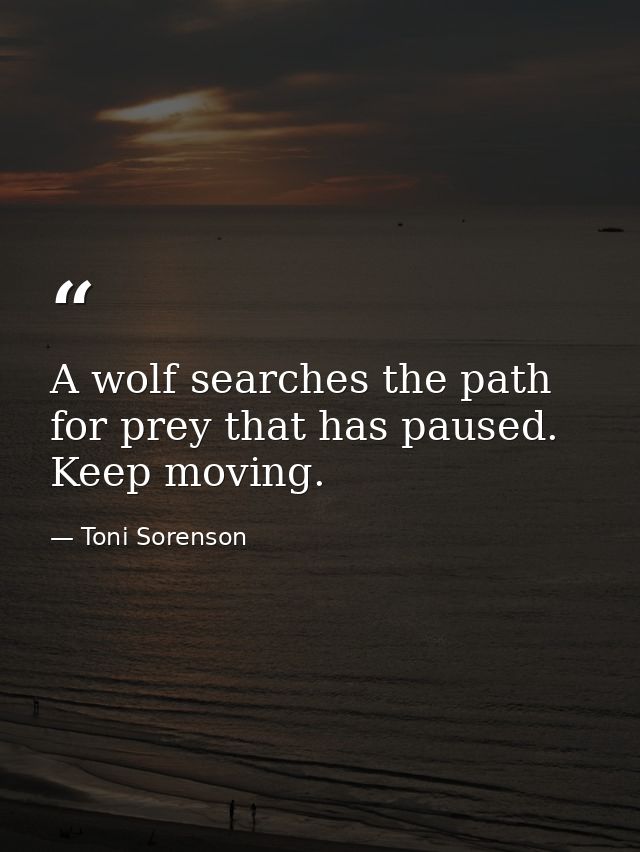 A wolf searches the path for prey that has paused. Keep moving. — Toni Sorenson