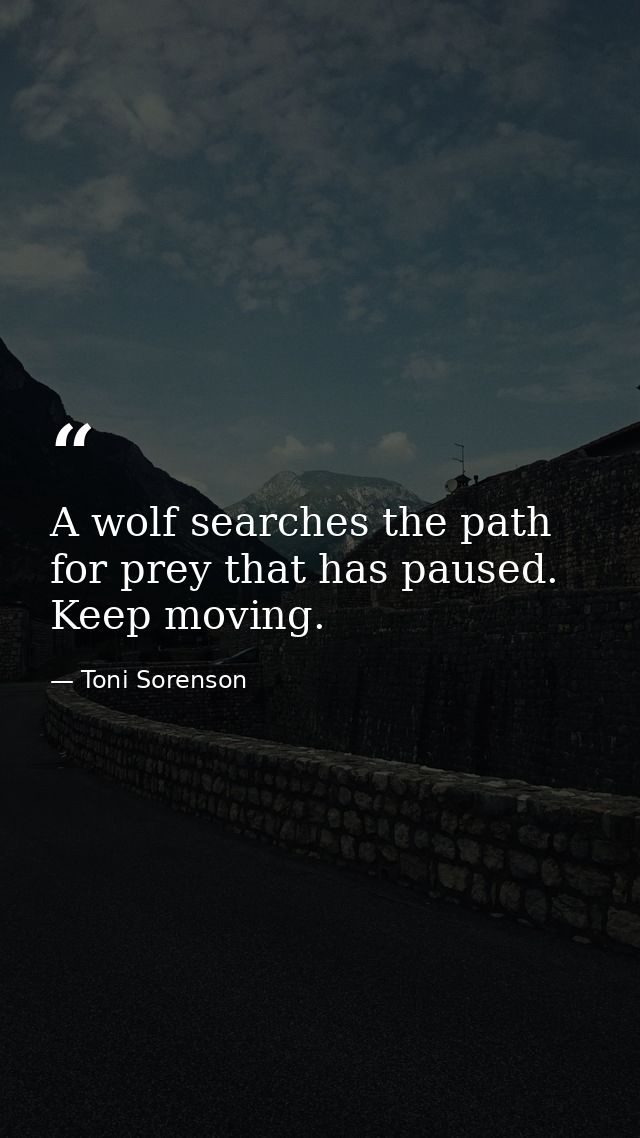 A wolf searches the path for prey that has paused. Keep moving. — Toni Sorenson