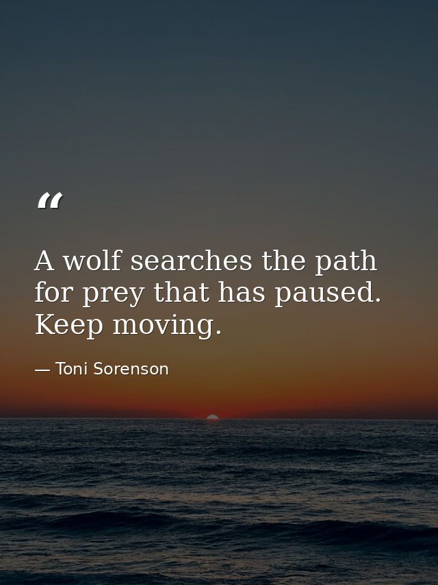 A wolf searches the path for prey that has paused. Keep moving. — Toni Sorenson