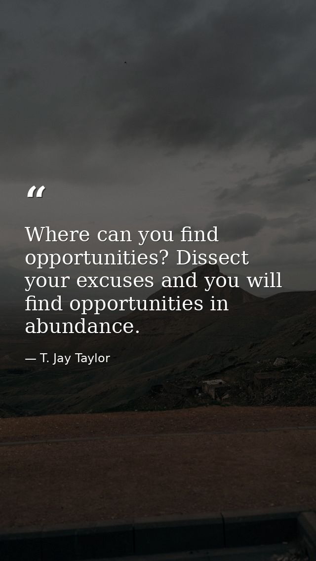 Where can you find opportunities? Dissect your excuses and you will find opportunities in abundance. — T. Jay Taylor